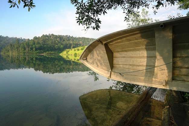 Parque de botes al lado del lago con bosque al fondo