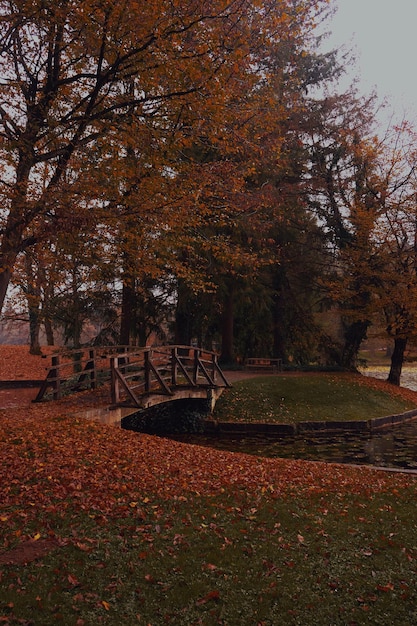 Foto parque brdo en el otoño de eslovenia.