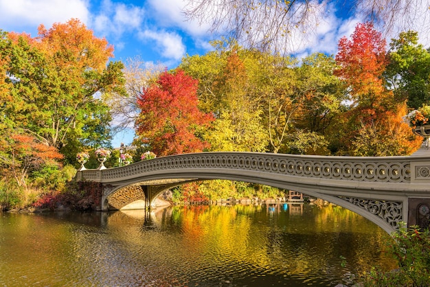 parque central de Nueva York