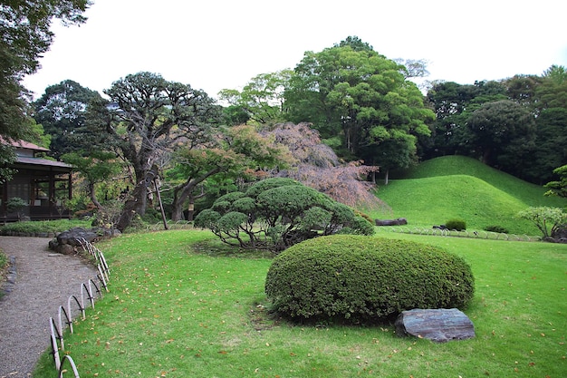 El parque en el centro de Tokio Japón