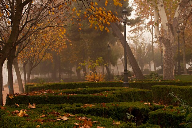 Parque Cervantes ou alameda de baza granada