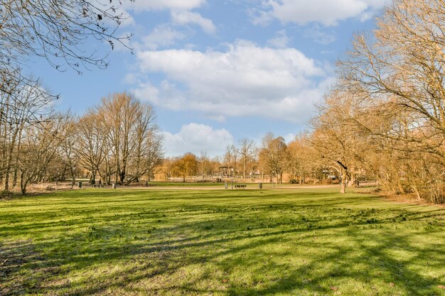 Un parque con césped y árboles en un día soleado