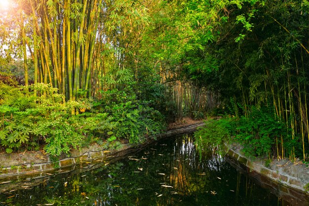 Parque en Chengdu, China