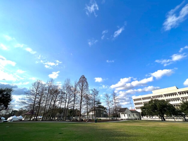 Foto parque con cielo azul claro y fondo de construcción en estados unidos