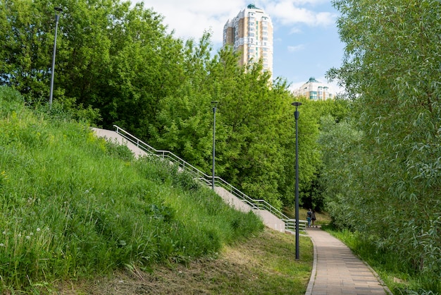 Un parque de la ciudad con árboles en un día soleado de verano con una casa al fondo