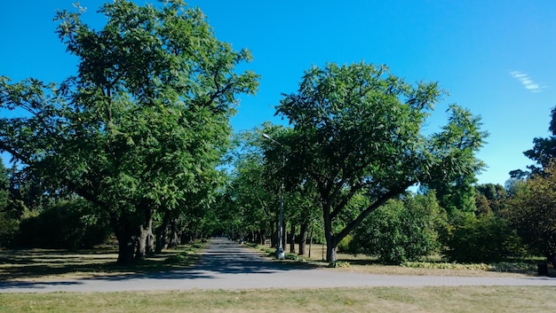 Parque de la ciudad en un caluroso día de verano