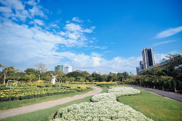 Foto un parque de la ciudad con un horizonte con rascacielos y edificios urbanos en un telón de fondo de un cielo despejado que incluye elementos de hierba y árboles