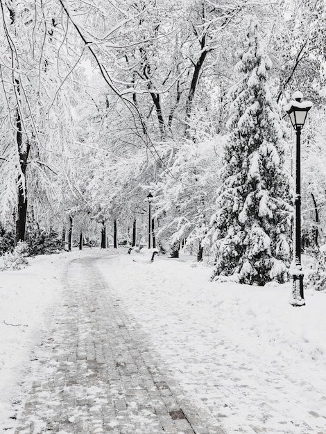 Parque de la ciudad de invierno