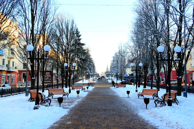Parque de la ciudad en invierno