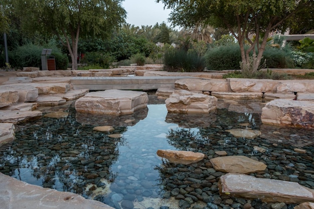 Parque de la ciudad con jardín botánico de palmeras exóticas en Abu Dhabi, Emiratos Árabes Unidos