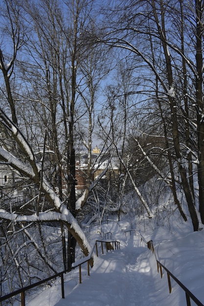 Parque de la ciudad nevó en invierno