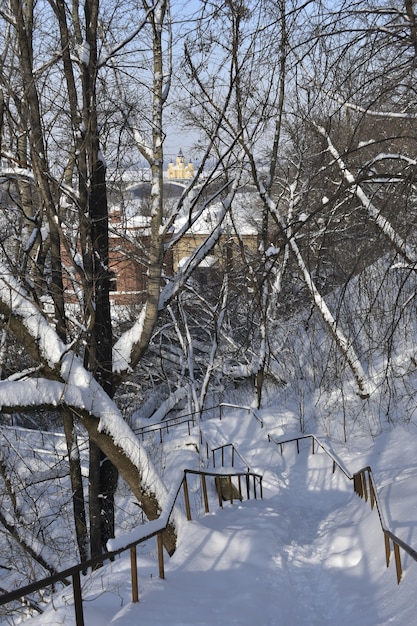 Parque de la ciudad nevó en invierno