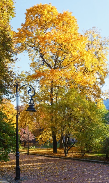 Parque de la ciudad de otoño con follaje de árboles dorados y lámparas.