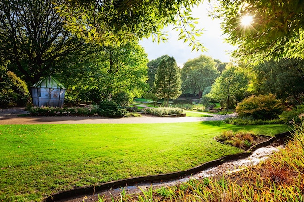 Parque de la ciudad de otoño con pajarera de pájaros, follaje de otoño y sol. Fondo de paisaje de otoño de naturaleza