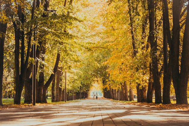 Parque de la ciudad otoño