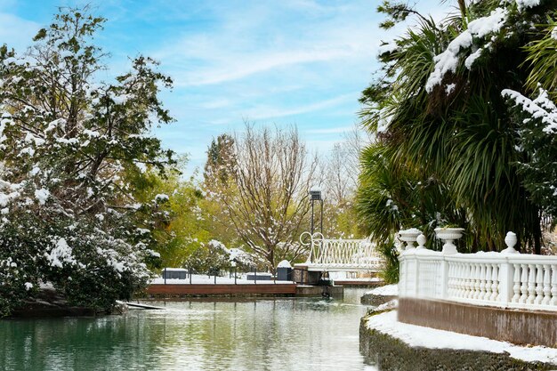 Parque de la ciudad en paisaje de invierno Hermoso estanque en invierno