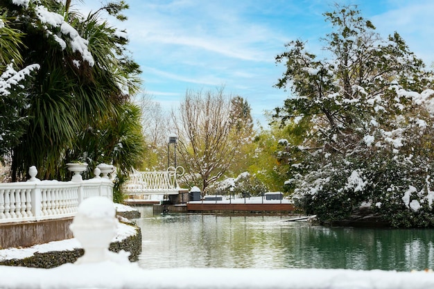 Parque de la ciudad en paisaje de invierno Hermoso estanque en invierno