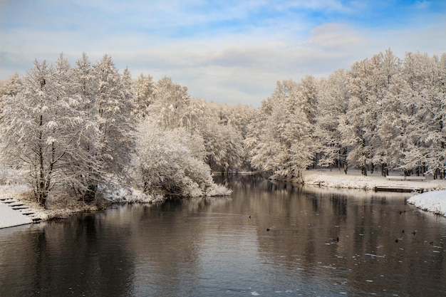 Parque com árvores cobertas de neve no inverno O rio Svisloch