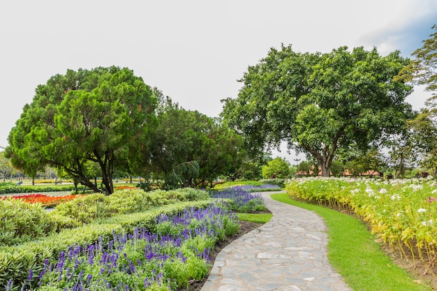 Parque com árvores e grama