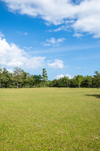 Parque com campo de grama verde