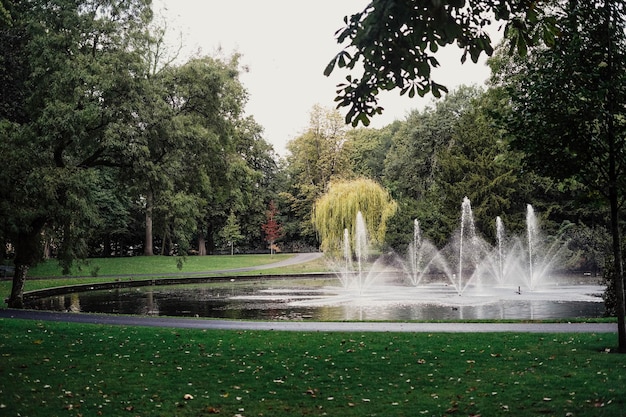 Parque com muito verde e uma fonte.