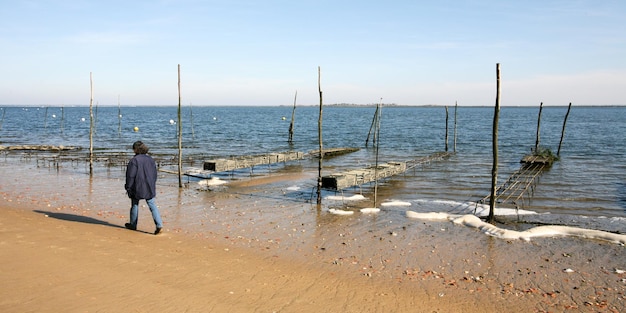 Parque com ostras na fazenda de ostras bassin d'arcachon