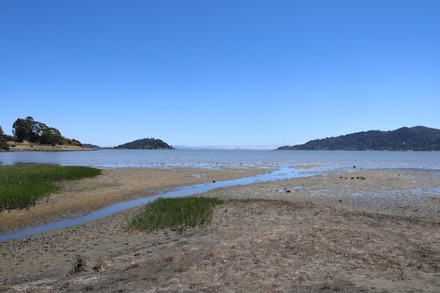 Parque de la costa en Tiburon California