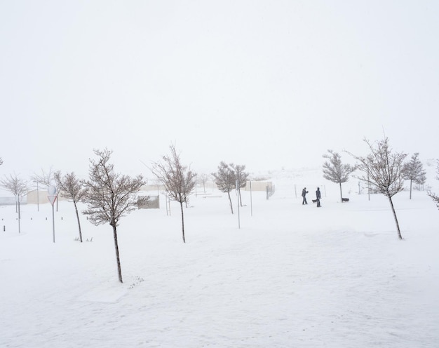 Parque cubierto de nieve en invierno