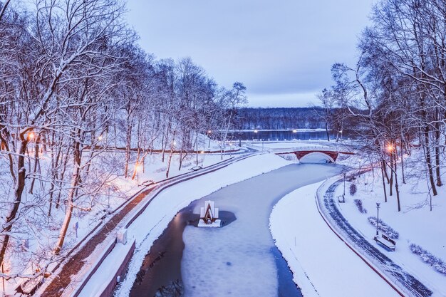 Parque da cidade à noite de inverno neve