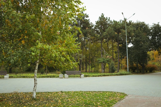 Parque da cidade com caminhos em dia de outono