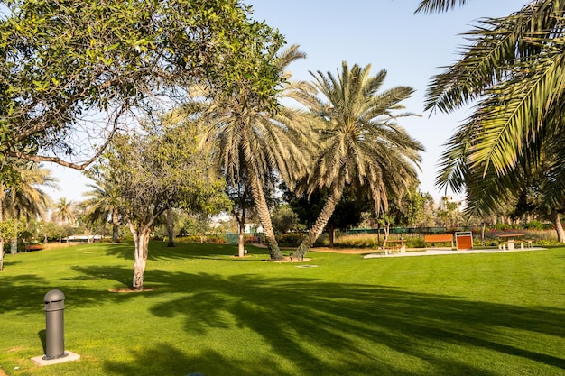 Parque da cidade com jardim botânico de palmeiras exóticas em Abu Dhabi Emirados Árabes Unidos