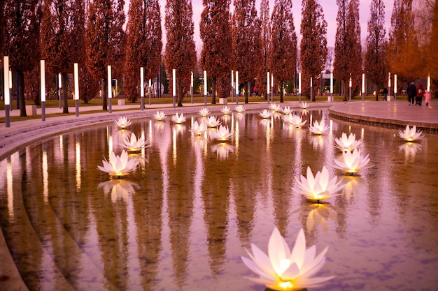 Parque da cidade com trilhas para caminhada e um lago com lótus decorativos brilhantes em uma noite de outono