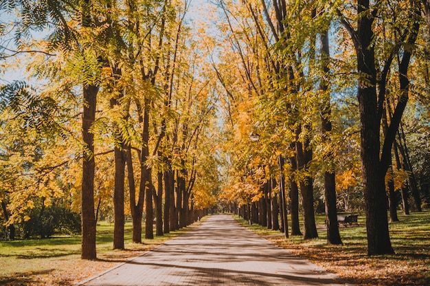 Parque da cidade de outono