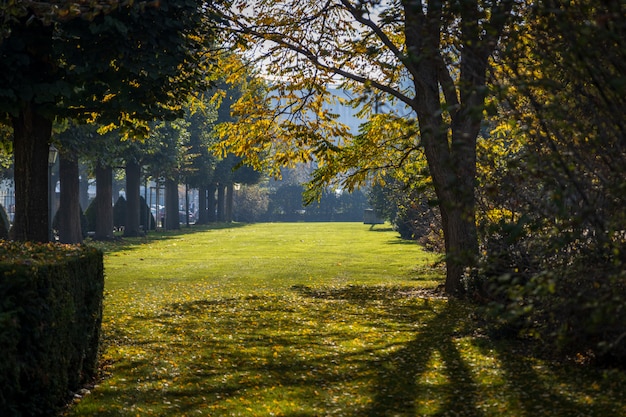 Parque da cidade de Viena no início do outono com o sol brilhando através das árvores