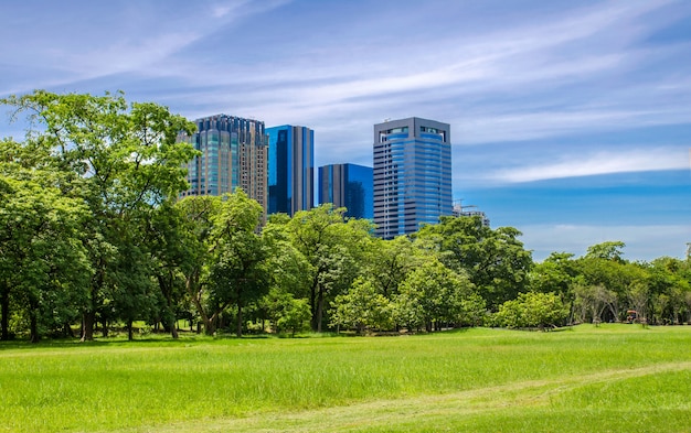 Parque da cidade sob o céu azul com fundo de construção