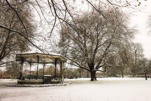 Parque da inglaterra depois de uma nevasca