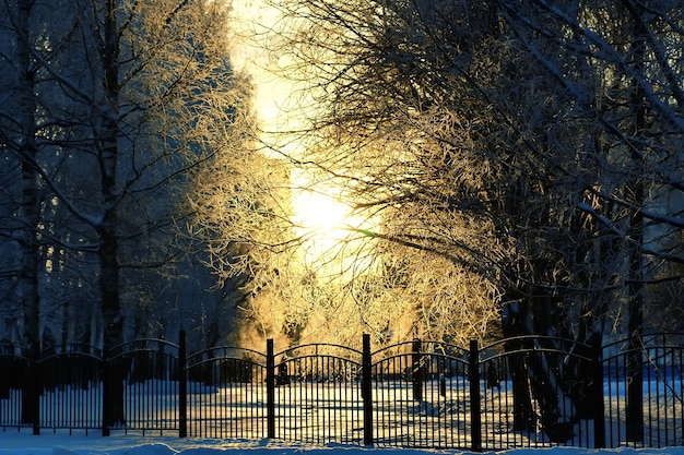 Parque de inverno coberto com cerca de neve