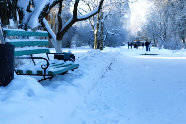 Parque de inverno coberto de neve