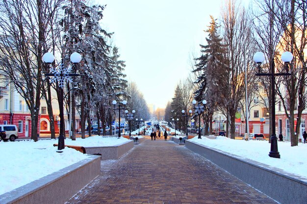 parque de inverno com muitas árvores grandes e caminho Lindo parque beco com banco e árvores em dia ensolarado de inverno Lindo parque com caminho de passeio e árvores Parque urbano vazio no inverno