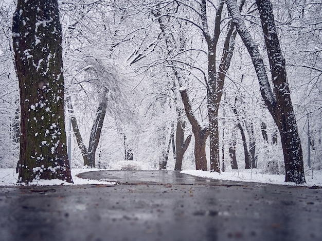 Parque de inverno com neve e neve derretida no caminho