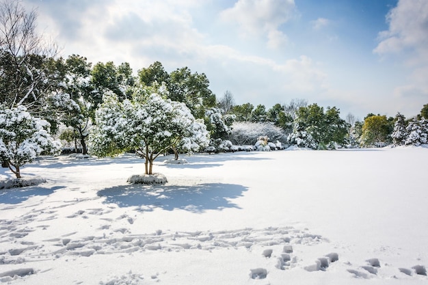 Parque de inverno na neve