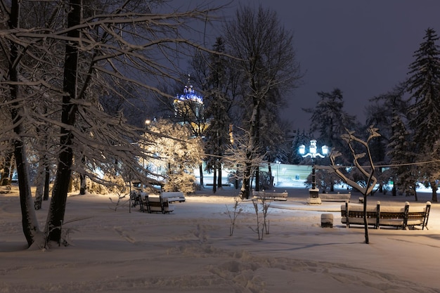 Parque de inverno noturno em lviv ucrânia