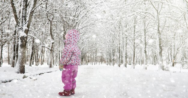 Parque de inverno sob a neve Uma tempestade de neve no parque da cidade Parque para passear com toda a família sob a cobertura de neve