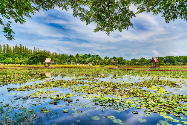 Parque de lótus em sakon nakhon, tailândia