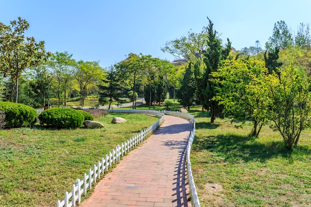 Parque de madeiras