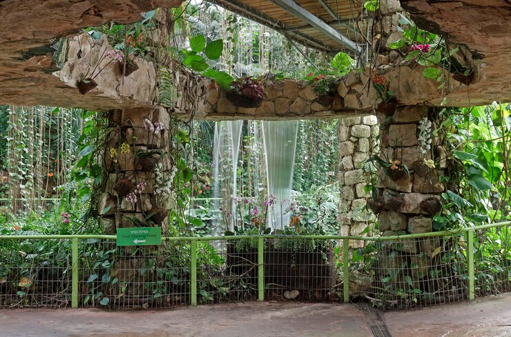 Foto parque de orquídeas em israel