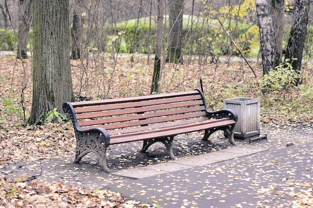 Parque de outono calmo com folhas caídas e um banco - paisagem de outono