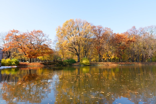 Parque de outono com árvores sobre as águas azuis do lago