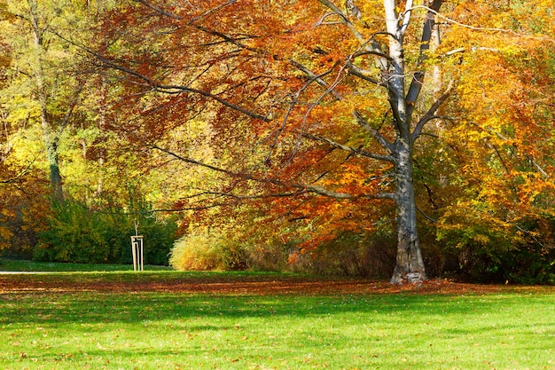 Parque de outono com árvores sobre as águas do lago
