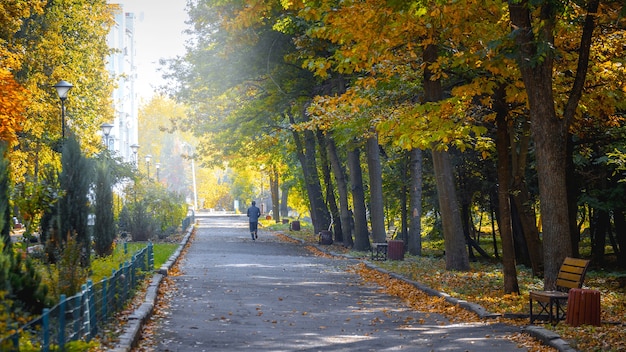 Parque de outono pela manhã em tempo ensolarado, um homem corre no parque